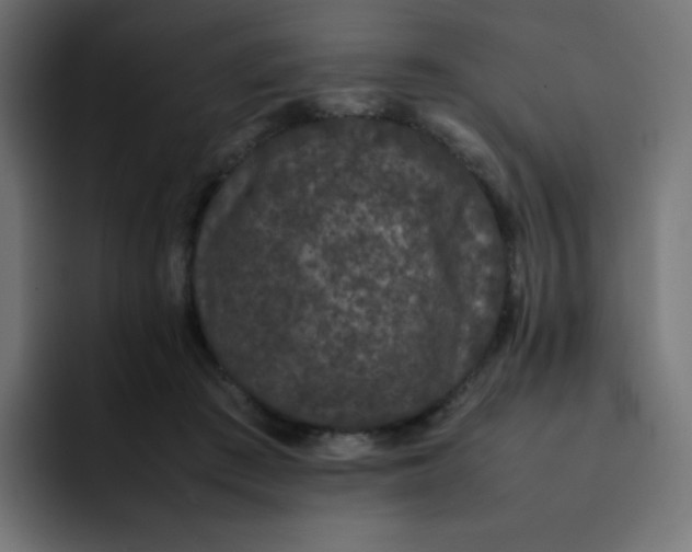 X0000092060409200710031104