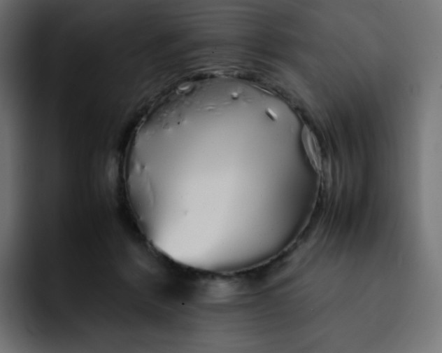 X0000092060412200710031104