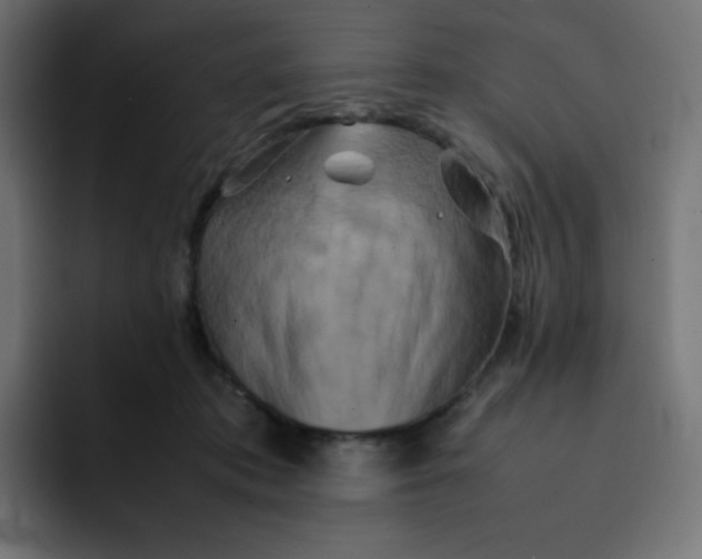 X0000092060413200710031104