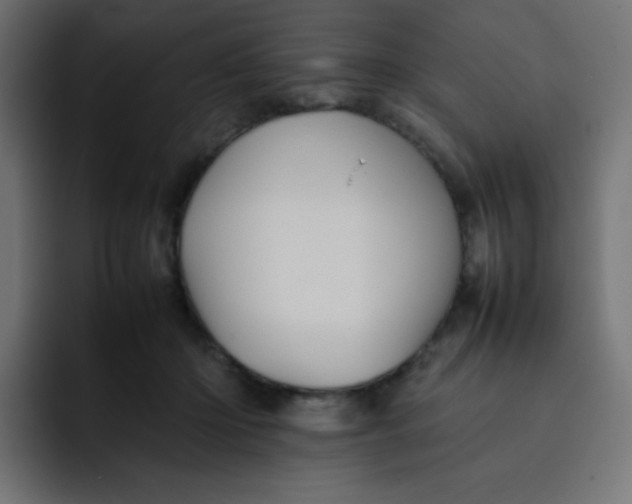 X0000092060414200710031104