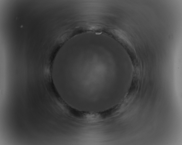 X0000092060415200710031104