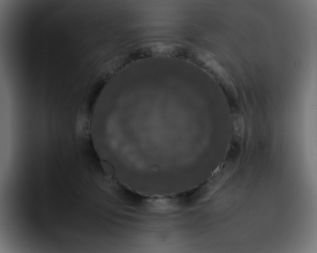 X0000092060419200710031104