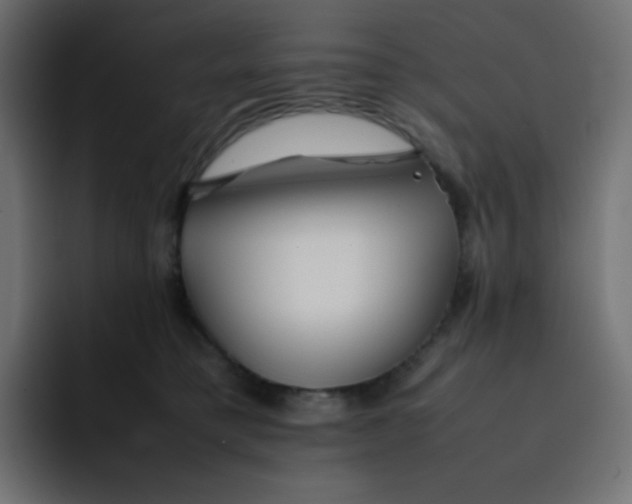 X0000092060421200710031104