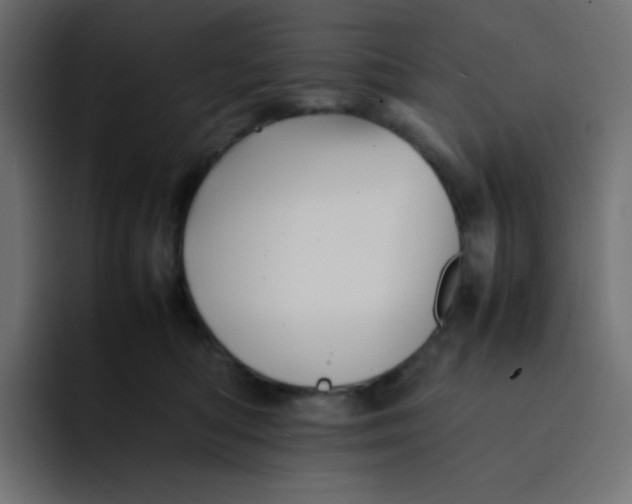 X0000092060422200710031104