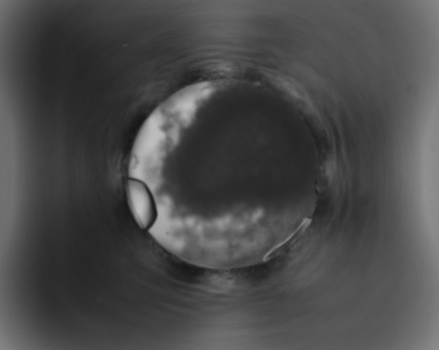 X0000092060423200710031104