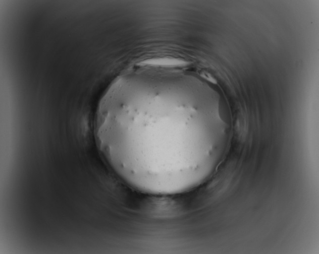 X0000092060424200710031104