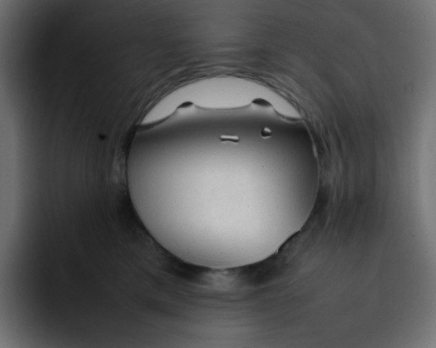 X0000092060425200710031104