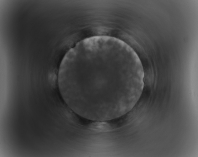 X0000092060427200710031104