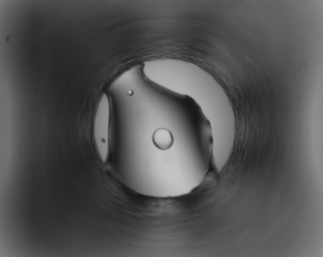 X0000092060428200710031104