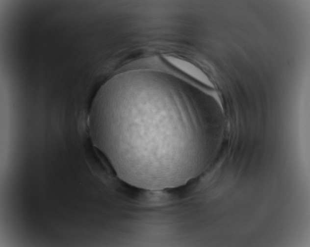 X0000092060429200710031104