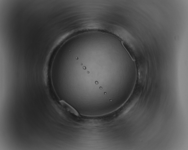 X0000092060436200710031103