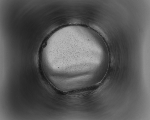 X0000092060439200710031103