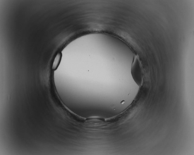 X0000092060440200710031103