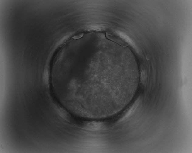 X0000092060444200710031103