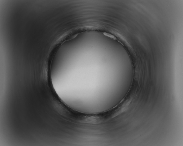 X0000092060446200710031103