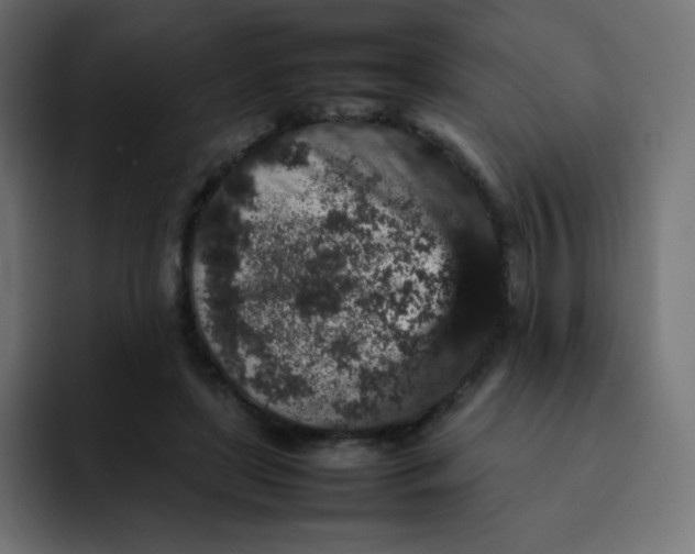 X0000092060451200710031103