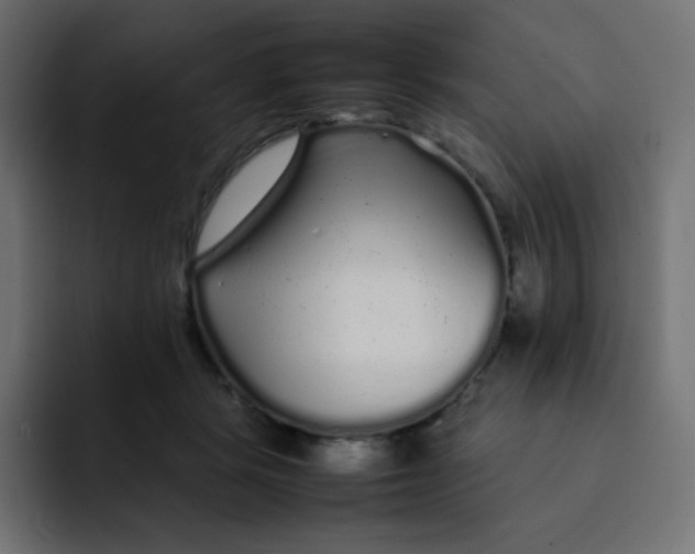 X0000092060461200710031103