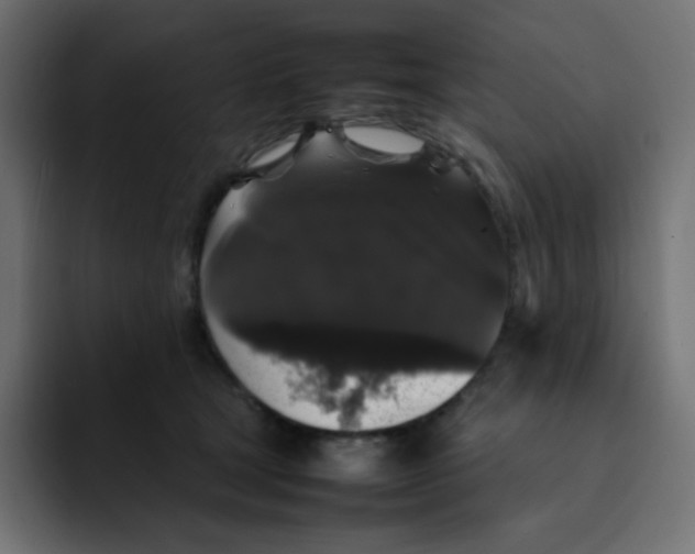 X0000092060465200710031104