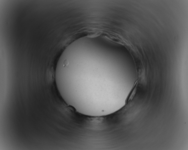 X0000092060474200710031104