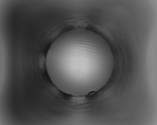 X0000092060480200710031104