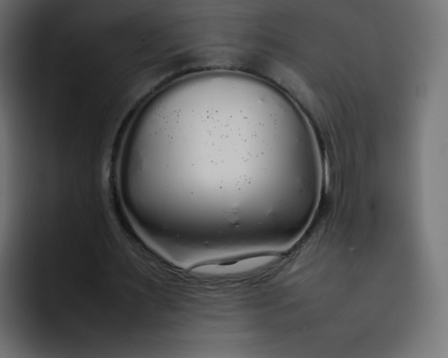 X0000092060483200710031103