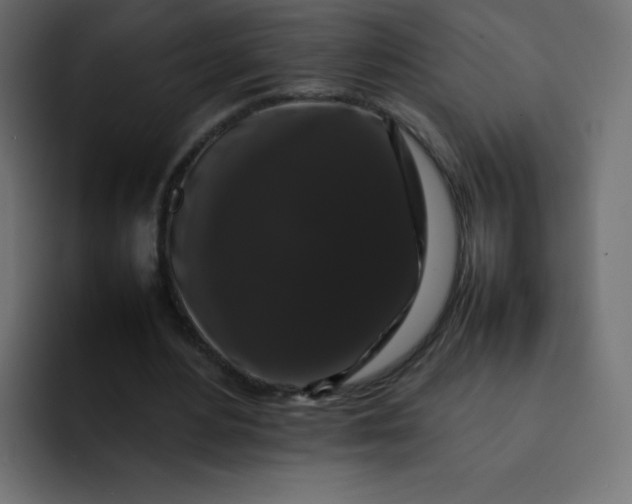 X0000092060484200710031103