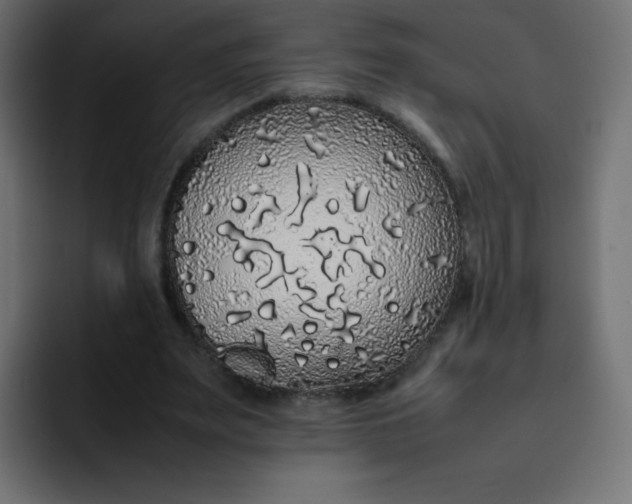 X0000092060487200710031103