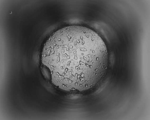 X0000092060495200710031103