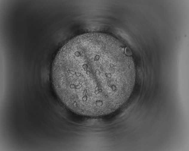 X0000092060499200710031103