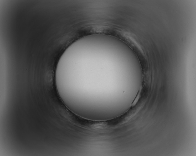 X0000092060505200710031103