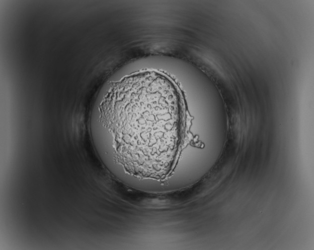 X0000092060506200710031103