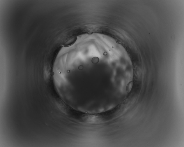 X0000092060507200710031103