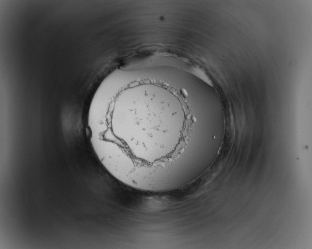 X0000092060508200710031103