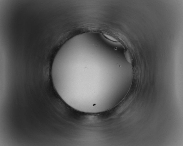 X0000092060509200710031103