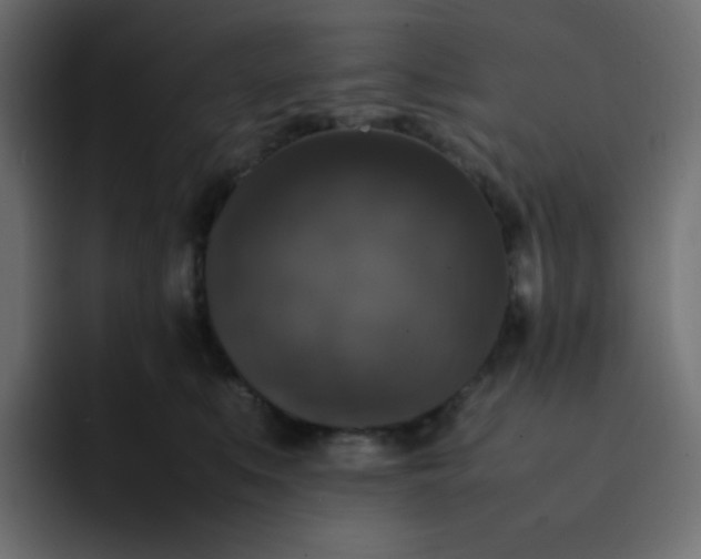 X0000092060519200710031103