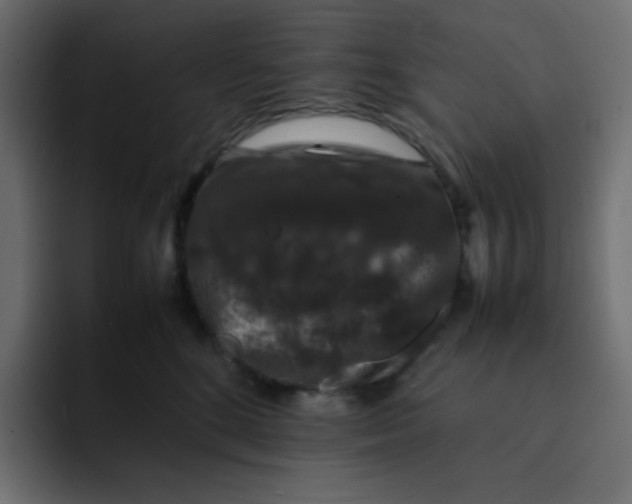 X0000092060520200710031103