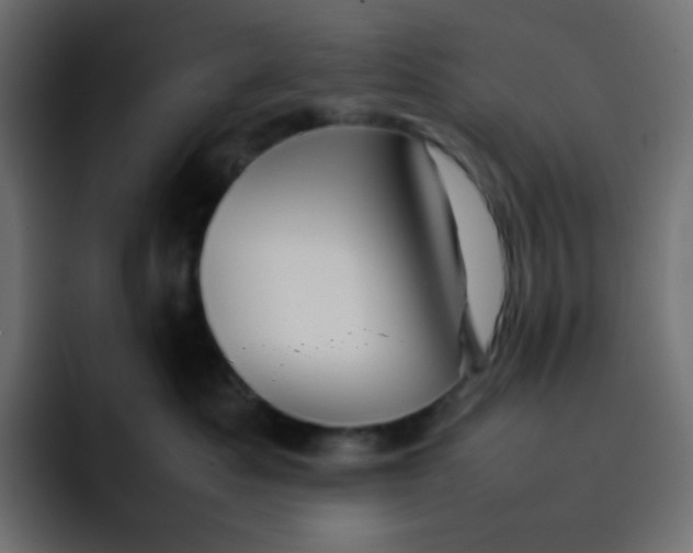 X0000092060525200710031103