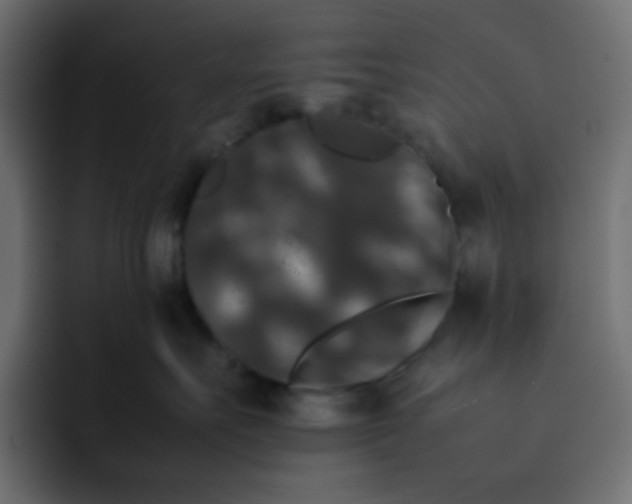 X0000092060527200710031103