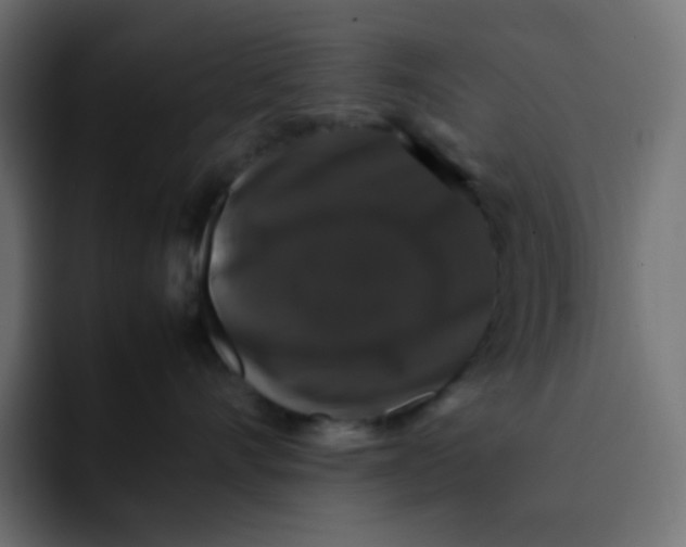 X0000092060528200710031103