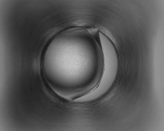 X0000092060530200710031102