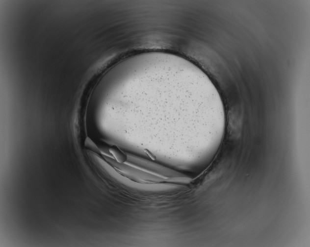 X0000092060536200710031102