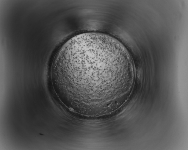 X0000092060540200710031102