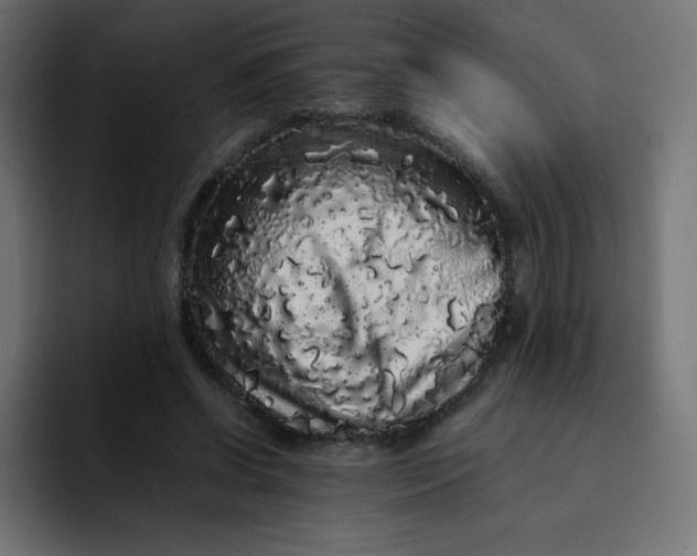 X0000092060542200710031102