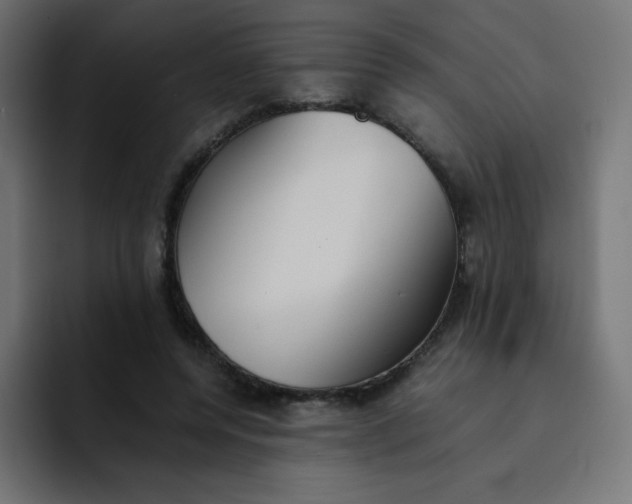 X0000092060544200710031102