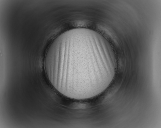 X0000092060545200710031102