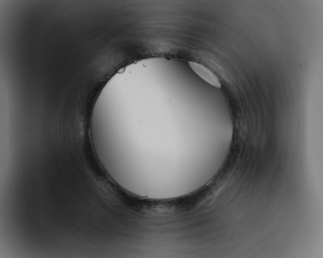 X0000092060546200710031102