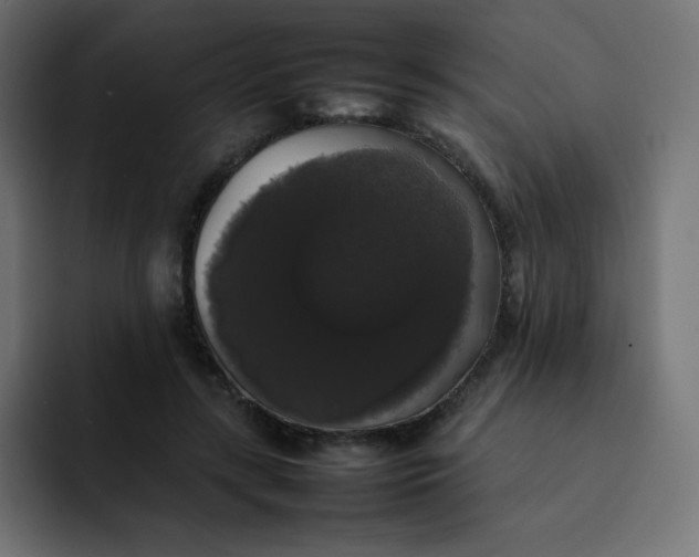 X0000092060547200710031102