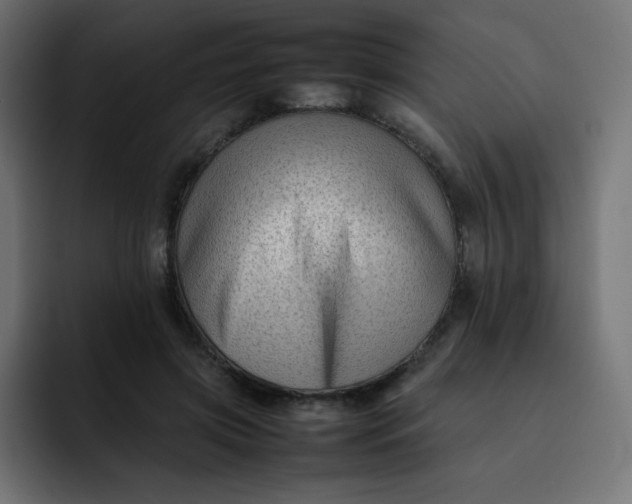 X0000092060549200710031102