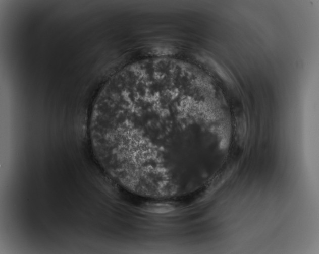 X0000092060553200710031102