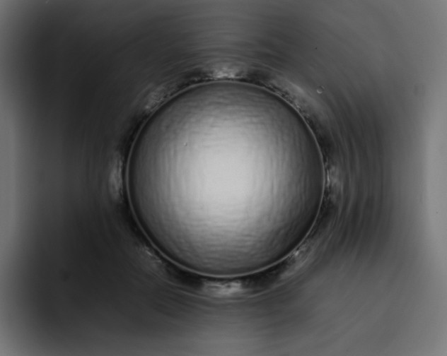 X0000092060554200710031102